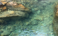 摩羯座面对爱情和面包如何取舍