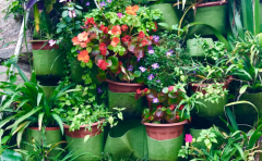 水瓶座面对爱情和面包如何取舍