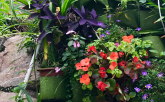 双鱼座面对爱情和面包如何取舍