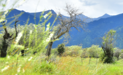 2019年金牛座7月运势