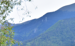 2019年射手座7月运势