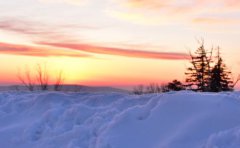 2019年第二次水逆白羊座较强逃生攻略