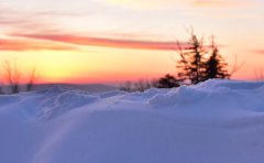 2019年第二次水逆金牛座较强逃生攻略