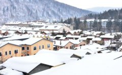 2019年第二次水逆处女座较强逃生攻略