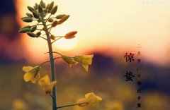 惊蛰有什么禁忌？生肖兔出生在惊蛰节气命运怎么样？