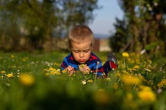 2020庚子年五月初七日出生男孩怎么起名？