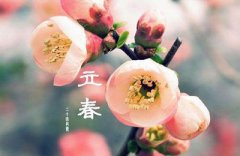 2020庚子鼠年立春出生的女孩缺金取名起什么字？