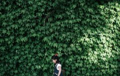 2020鼠年雨水出生的女孩八字缺木好听名字推荐