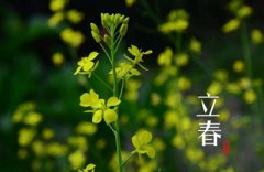 2020鼠年立春出生的女孩缺水应该起什么名字？