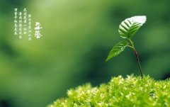 2020庚子年立春出生的男孩缺水起名带什么旁？