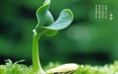 2020年2月4日立春出生的缺火女孩名字起名大全