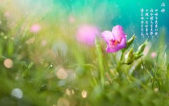 2020年雨水出生男孩五行缺水起名字带水字旁的好名字