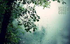 2020年2月19日雨水节气出生男孩五行缺金起名