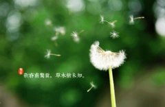 2020年惊蛰节气出生女孩五行缺水起名字大全