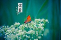 2020庚子鼠年惊蛰出生男宝宝缺火起名大全