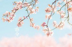 2020年春分出生男孩五行缺金起名要怎么好？