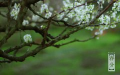 2020庚子年春分前一天出生的宝宝名字起名推荐