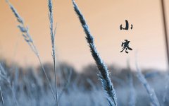 生肖马的人出生在小寒节气命运如何呢?