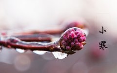 属猴出生在小寒节气的人是什么样的命运?