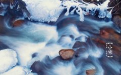 生肖属鸡1月5日小寒节气出生的人命运解析!