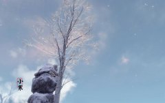 生肖属鼠的人出生在1月5日小寒节气是什么命?