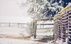 出生在大寒节气的属马人是什么样的命运?