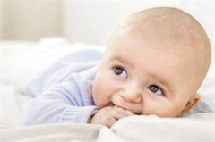 2019己亥猪年腊八节出生五行缺什么？起名怎么起？