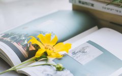 1967年白羊座的人2019年运势解析