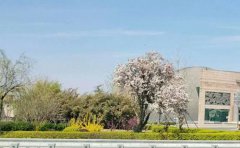 白羊座在2019年12个月运势较强解析