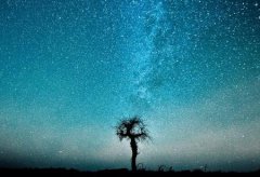 白羊座2019年运势如何，全面解析