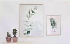 属虎白羊座2019年运势详解，财运如何？