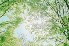 2019属羊白羊座全年运势如何？综合分析