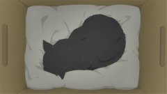 2020年正月十九日出生女宝宝如何取名，一月十九女宝宝起名