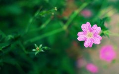 2020年农历正月廿四日出生的女宝宝如何起名