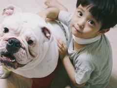 2020年农历正月二十四日出生的男宝宝如何起名