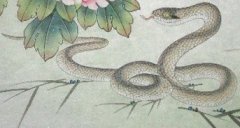 1989年12月出生的人婚姻好不好？