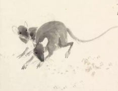 2020年属鼠本命年一定会不顺吗，有什么说法和科学依据？