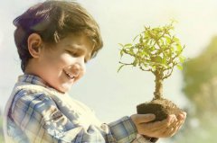 2019年农历十一月二十六日出生的男宝宝如何起名？