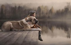 2019年农历十二月初六出生的女宝宝如何起名？