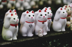 十二星座之2019年新年后事业顺利，开工大吉的星座