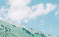 十二星座：2019金牛座开年这样做祝你学业顺利