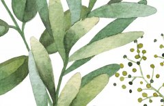 十二星座：2019白羊座开年这样做祝你学业顺利