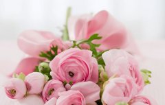 12星座谁吵架较厉害