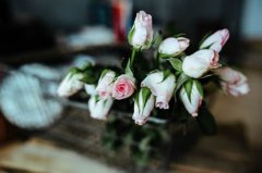 米舍兰2017年9月双鱼座运势