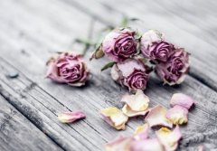 TIM本周双子座运势(2017年9月3日-9月9日)