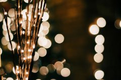 苏珊米勒2017年9月狮子座运势(完整版)