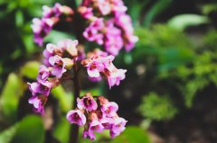 克里斯汀本周星座运势(2017.9.6-9.12)