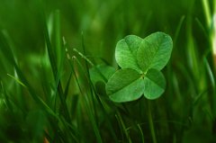 酷酷算命网_易动用婚姻底线的女命