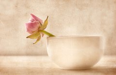 微信算命张居士_啥八字的女人不能娶