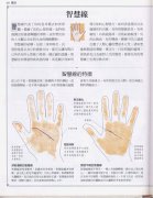 阳泉算命大师哪个准_手相百科：智慧线